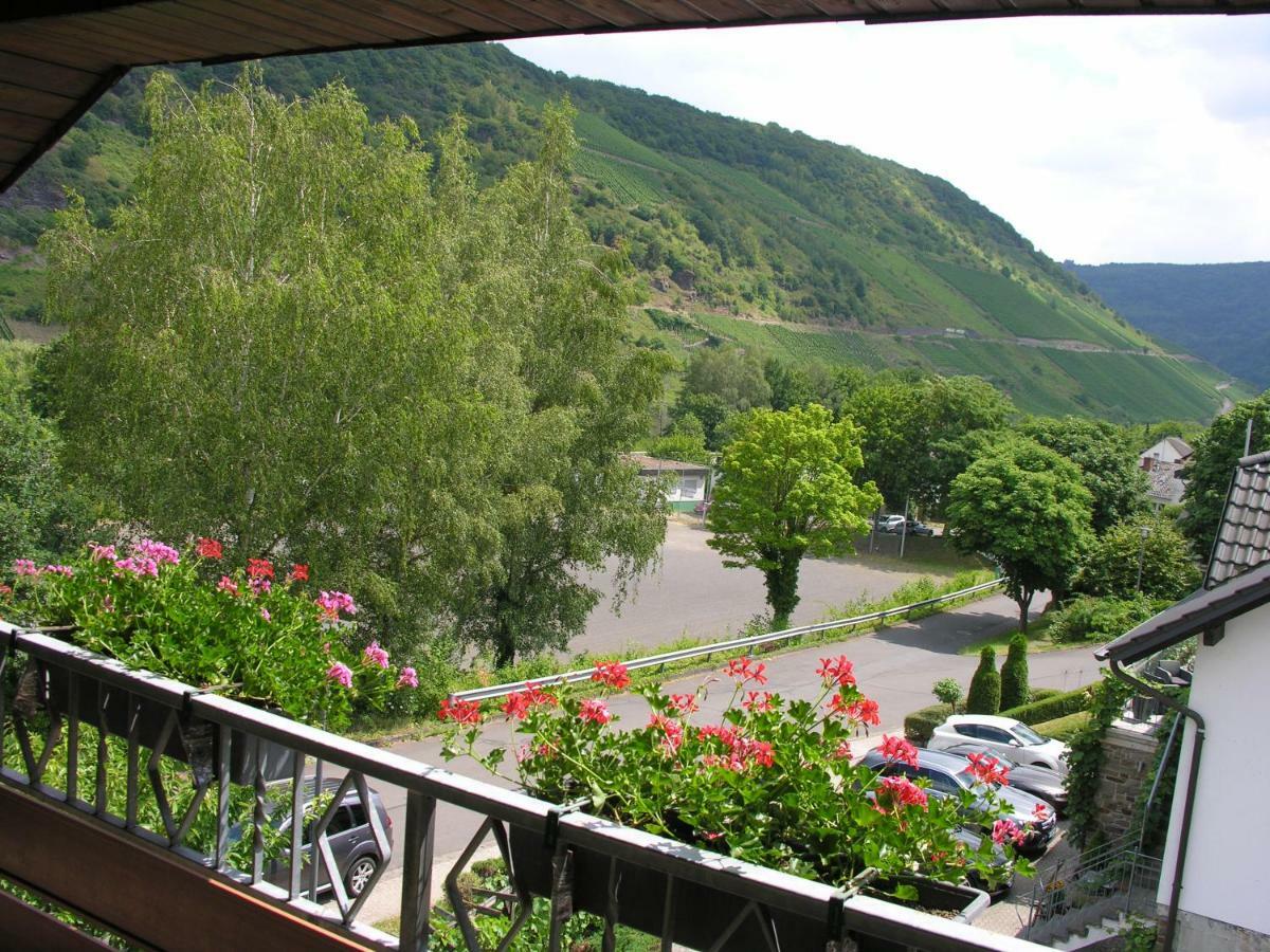 Weingut & Gaestehaus Mees Apartment Briedel Exterior photo